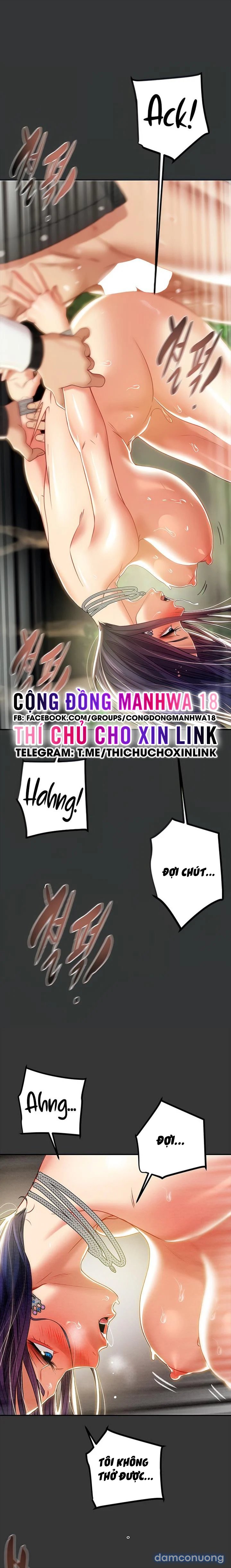 Cây Búa Thần 