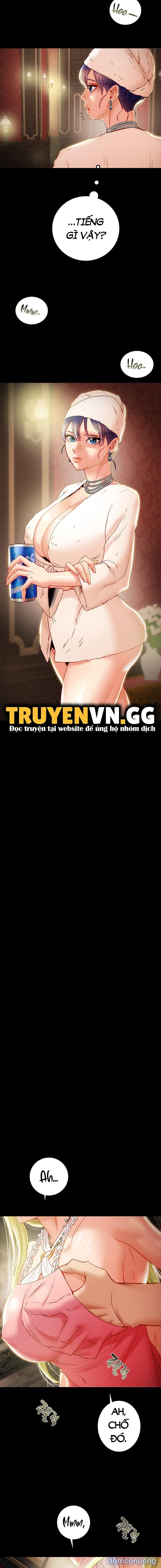 Cây Búa Thần 