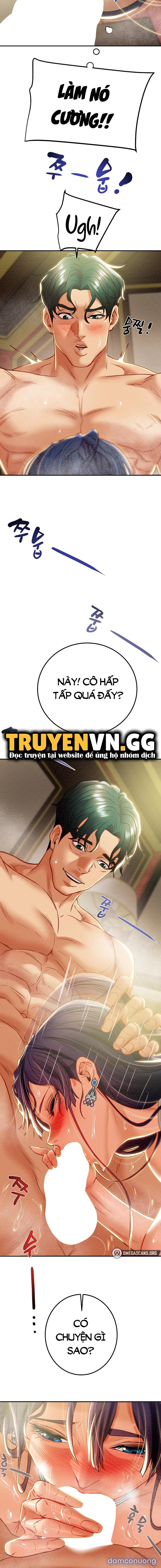 Cây Búa Thần 