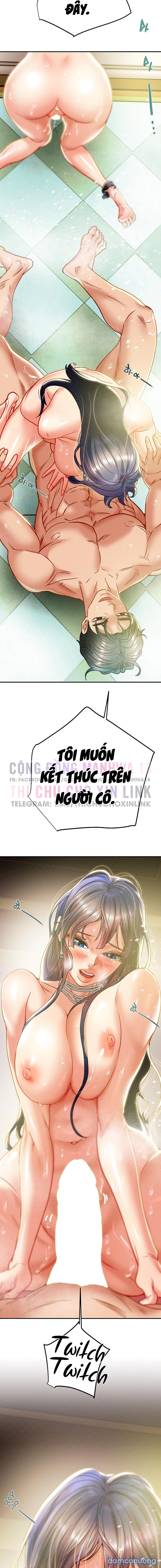 Cây Búa Thần 