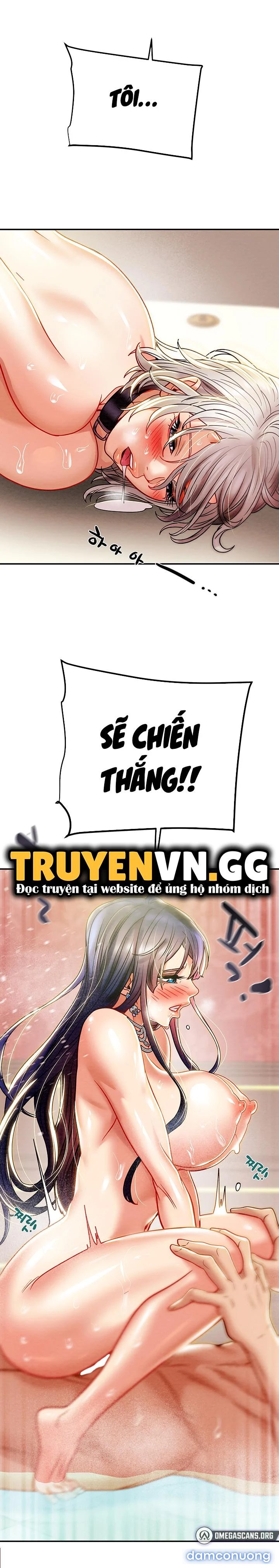 Cây Búa Thần 