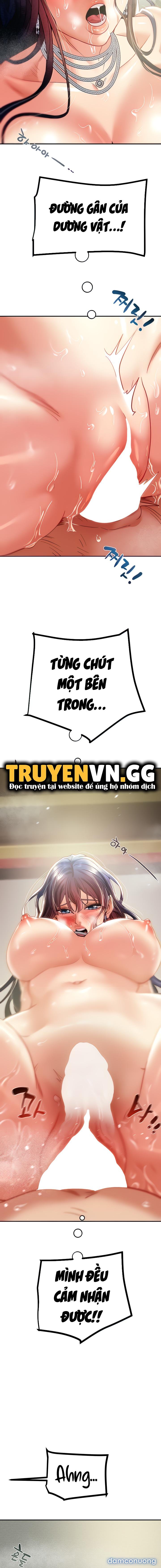 Cây Búa Thần 
