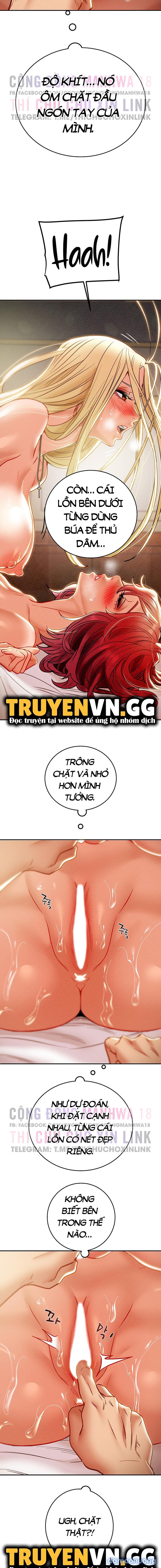 Cây Búa Thần 