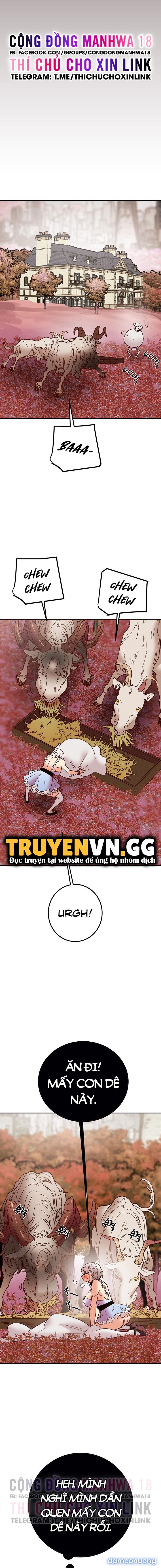 Cây Búa Thần 