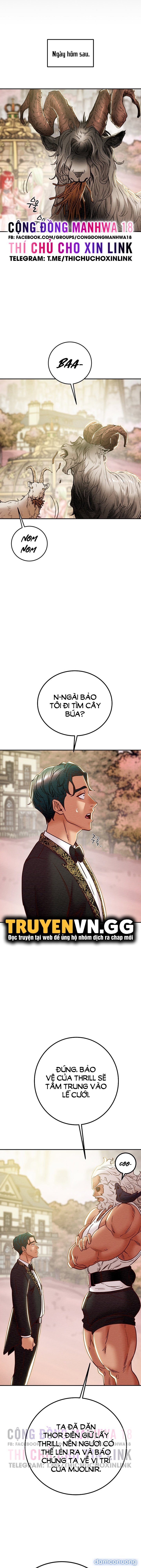 Cây Búa Thần 