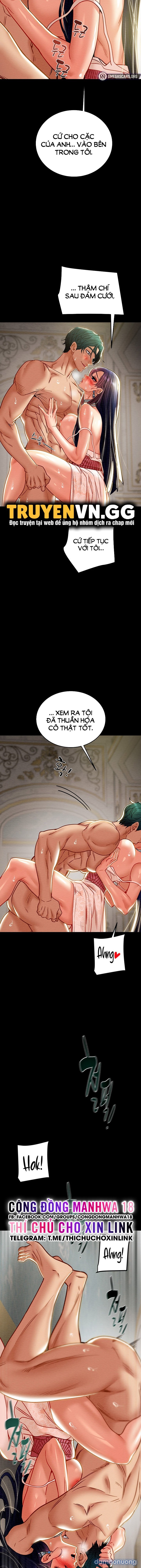 Cây Búa Thần 
