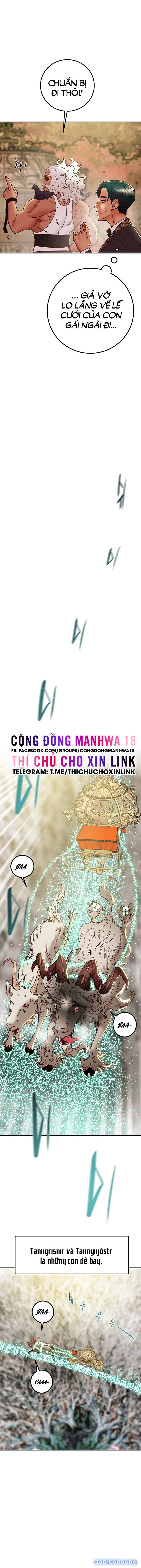 Cây Búa Thần 