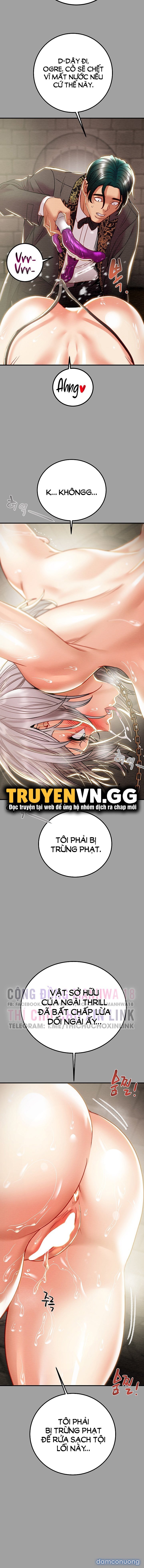 Cây Búa Thần 