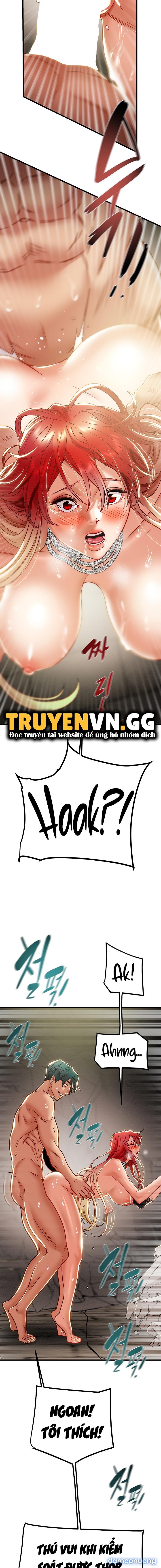 Cây Búa Thần 