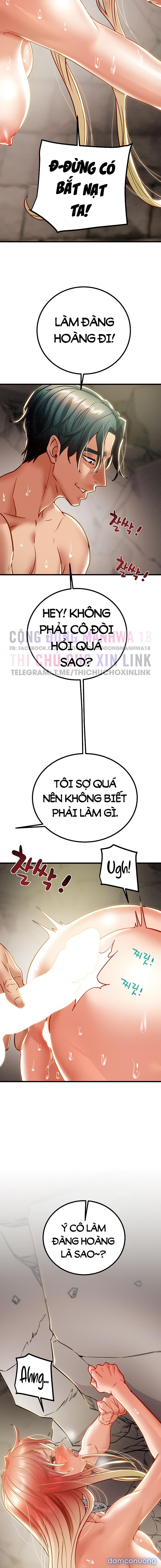 Cây Búa Thần 