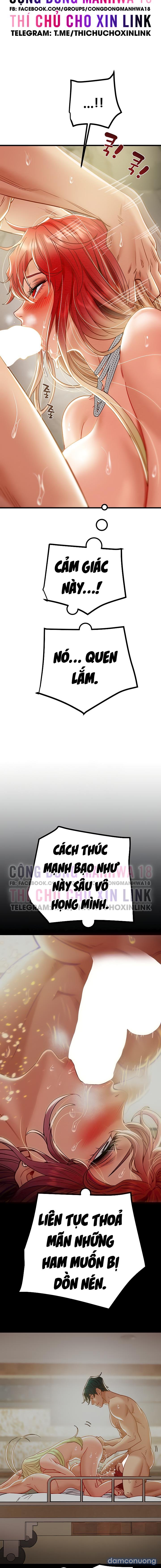Cây Búa Thần 
