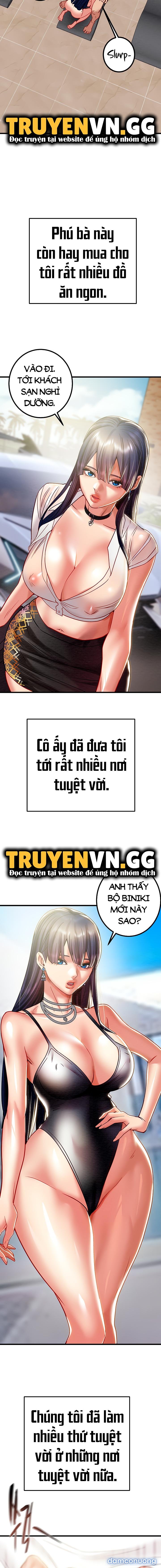 Cây Búa Thần 