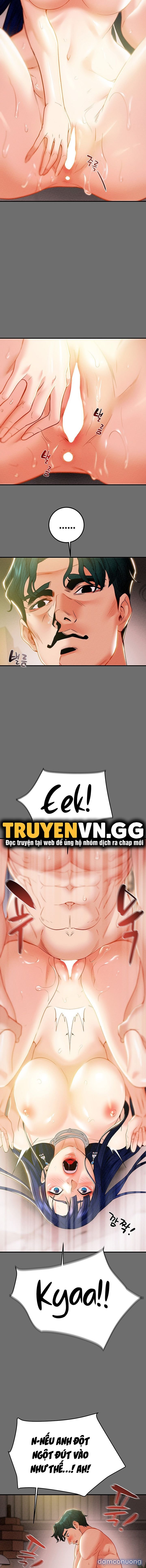 Cây Búa Thần 
