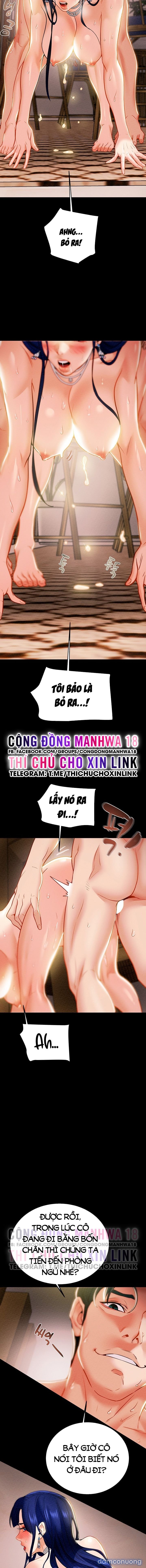 Cây Búa Thần 