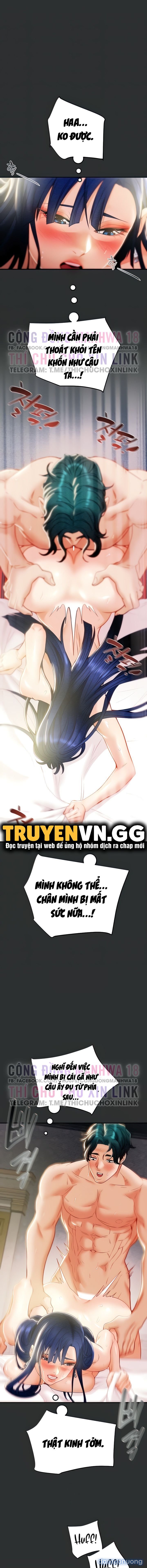 Cây Búa Thần 