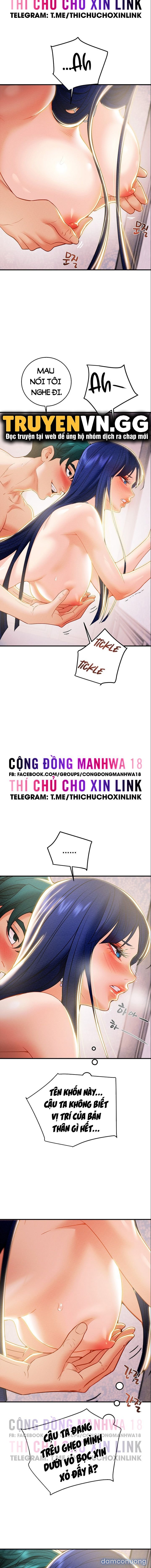 Cây Búa Thần 