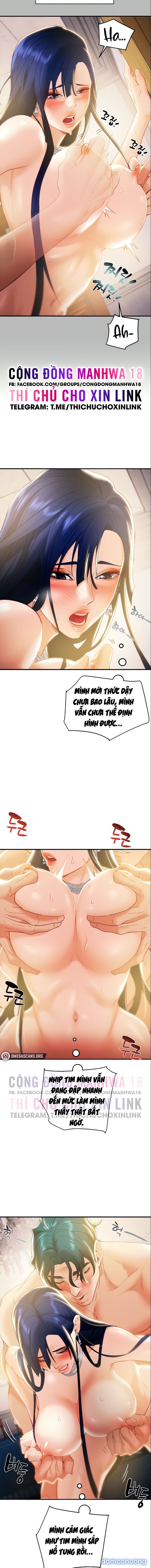 Cây Búa Thần 
