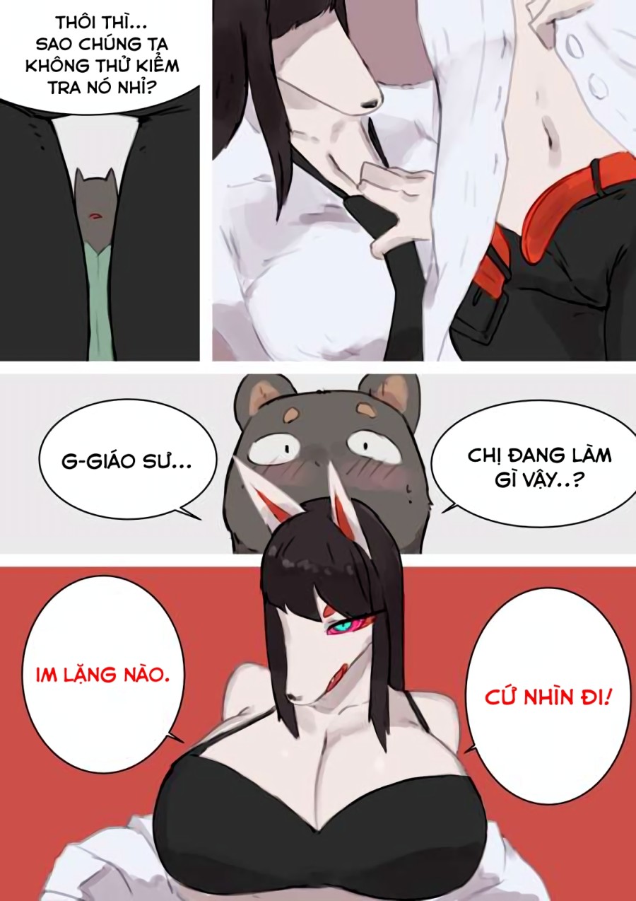 Cáo và gấu nâu 
