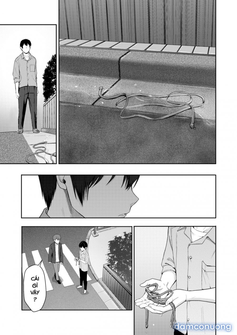 Mitsuha Netorara. 