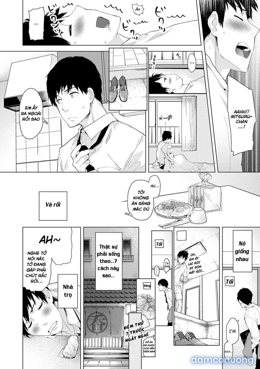 Living Together with a Stray Cat Girl 