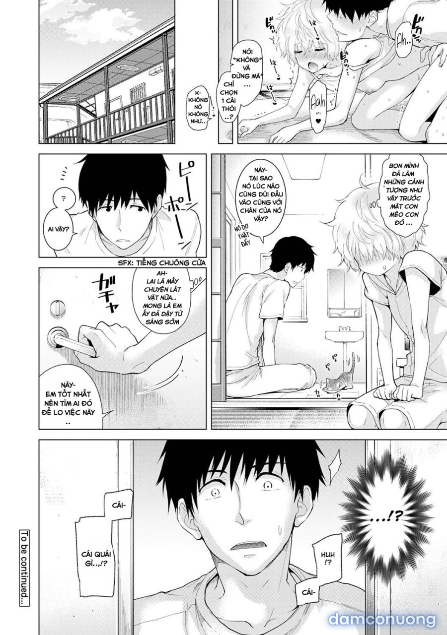 Living Together with a Stray Cat Girl 
