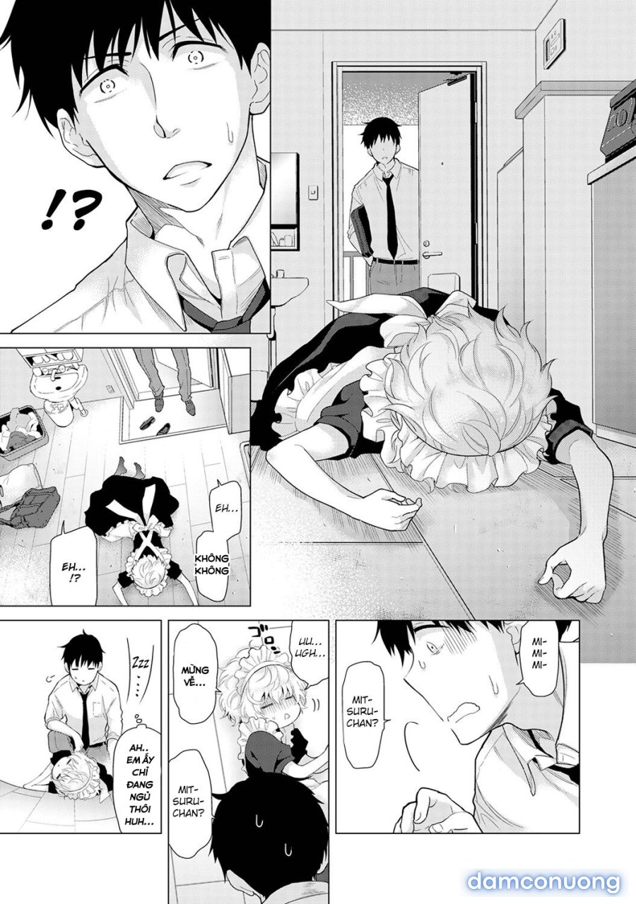 Living Together with a Stray Cat Girl 