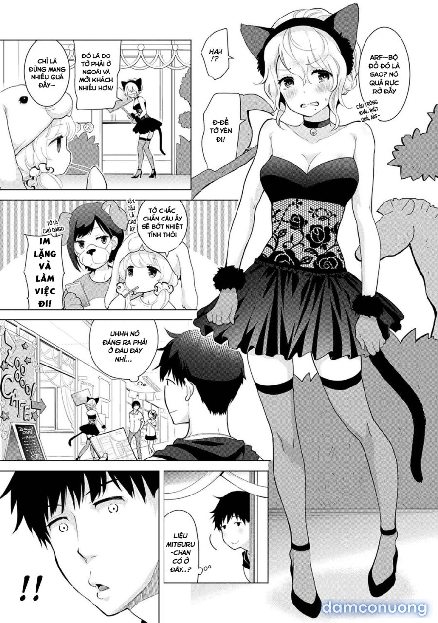 Living Together with a Stray Cat Girl 