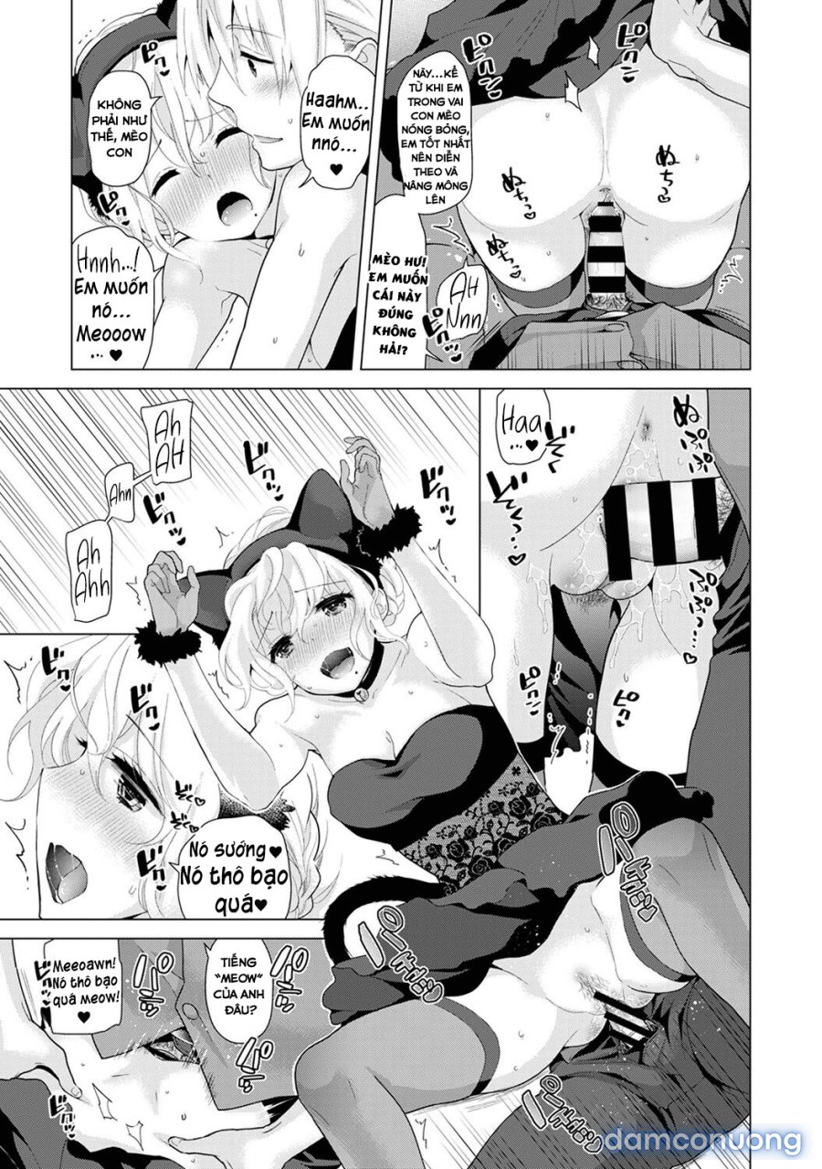 Living Together with a Stray Cat Girl 