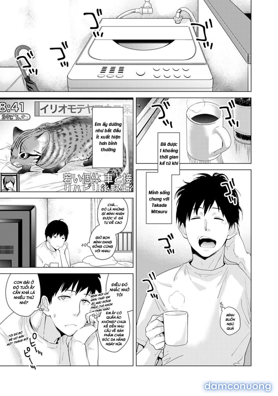 Living Together with a Stray Cat Girl 