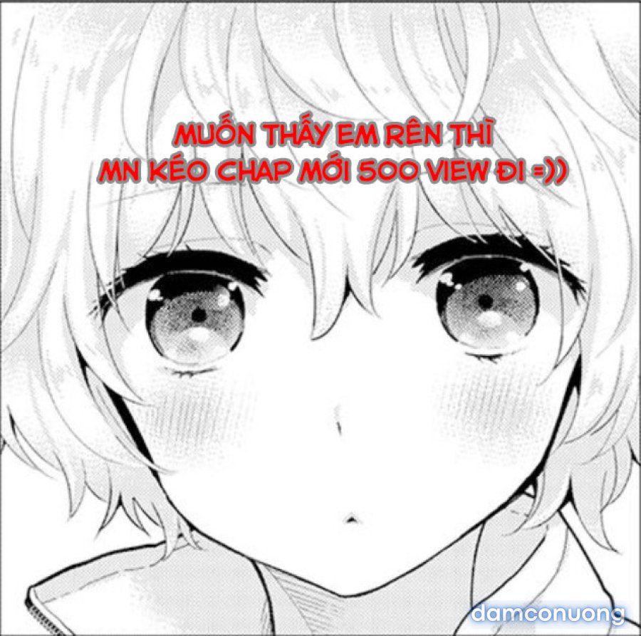 Living Together with a Stray Cat Girl 