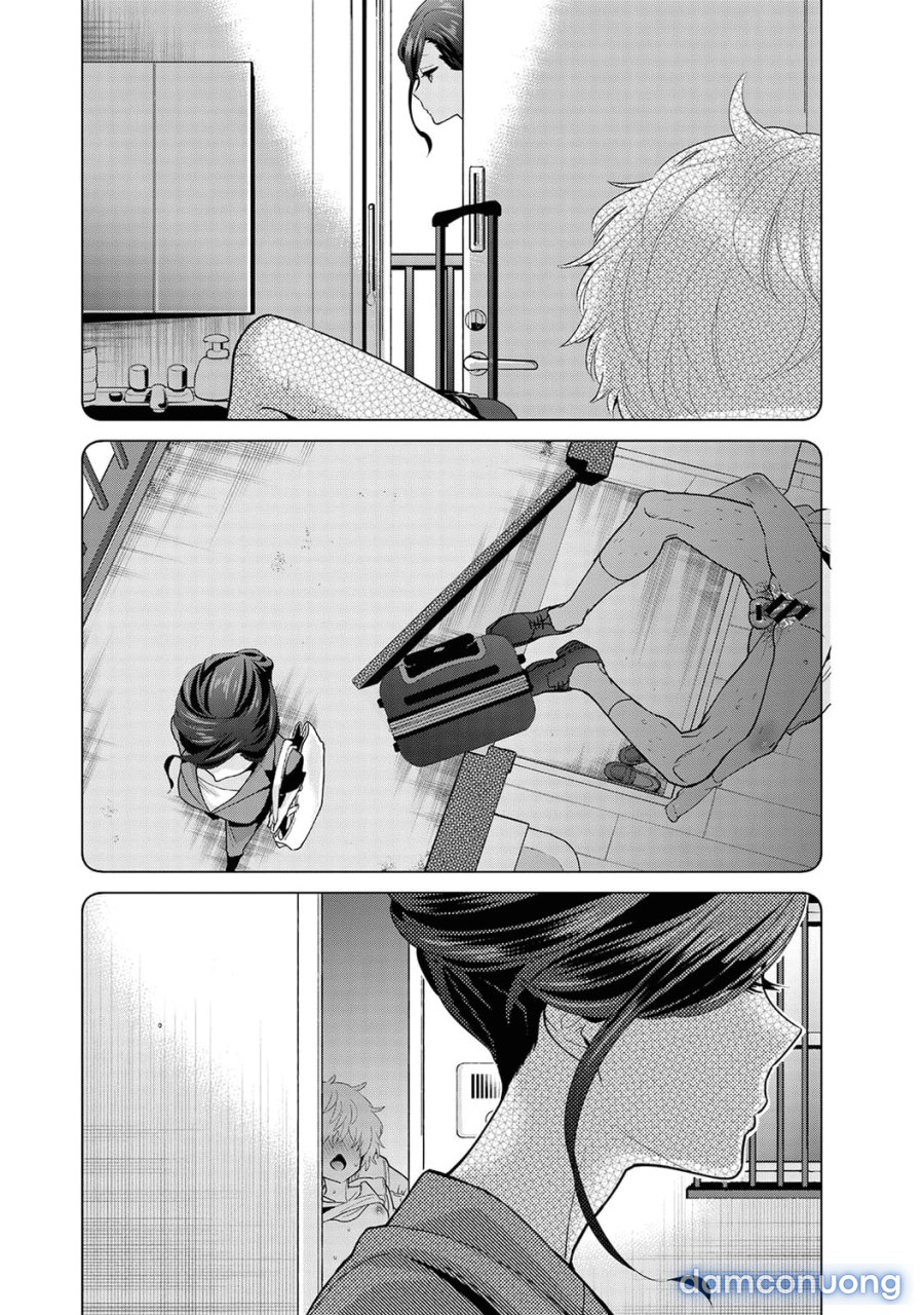 Living Together with a Stray Cat Girl 