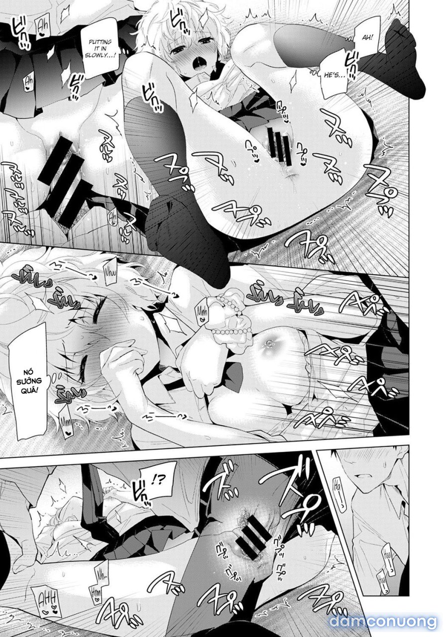 Living Together with a Stray Cat Girl 