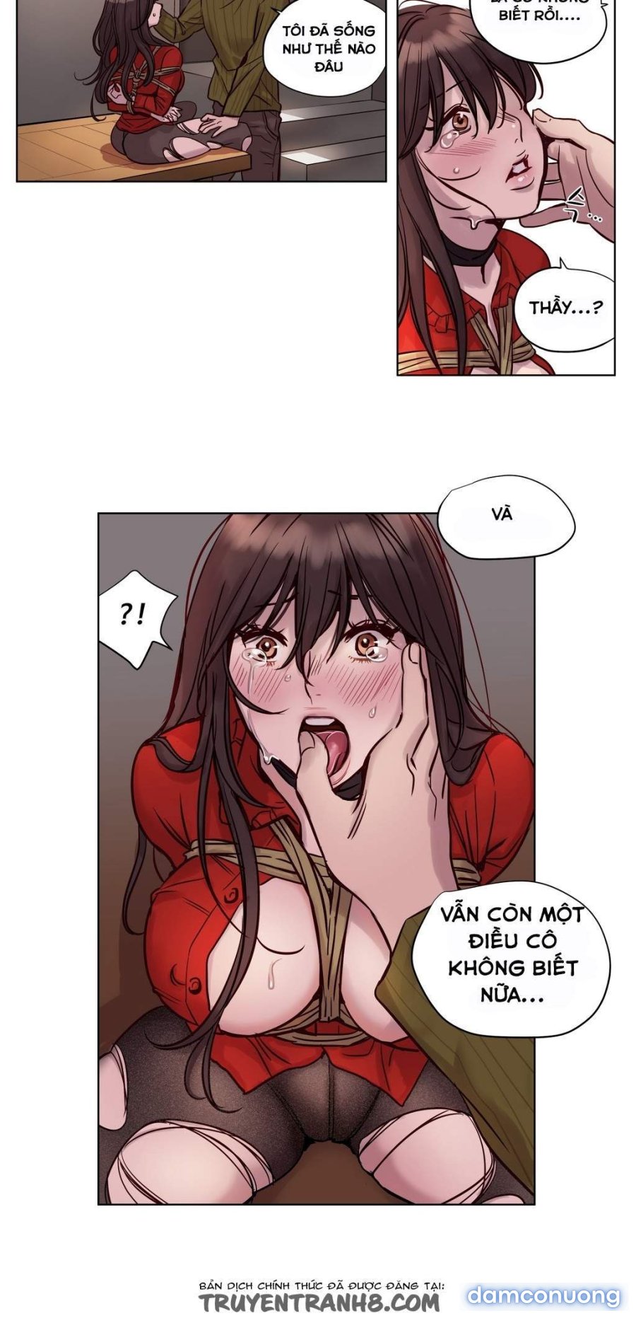 Hội Đàn Ông Phục Thù 