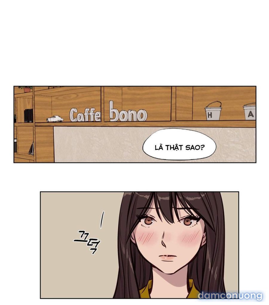 Hội Đàn Ông Phục Thù 