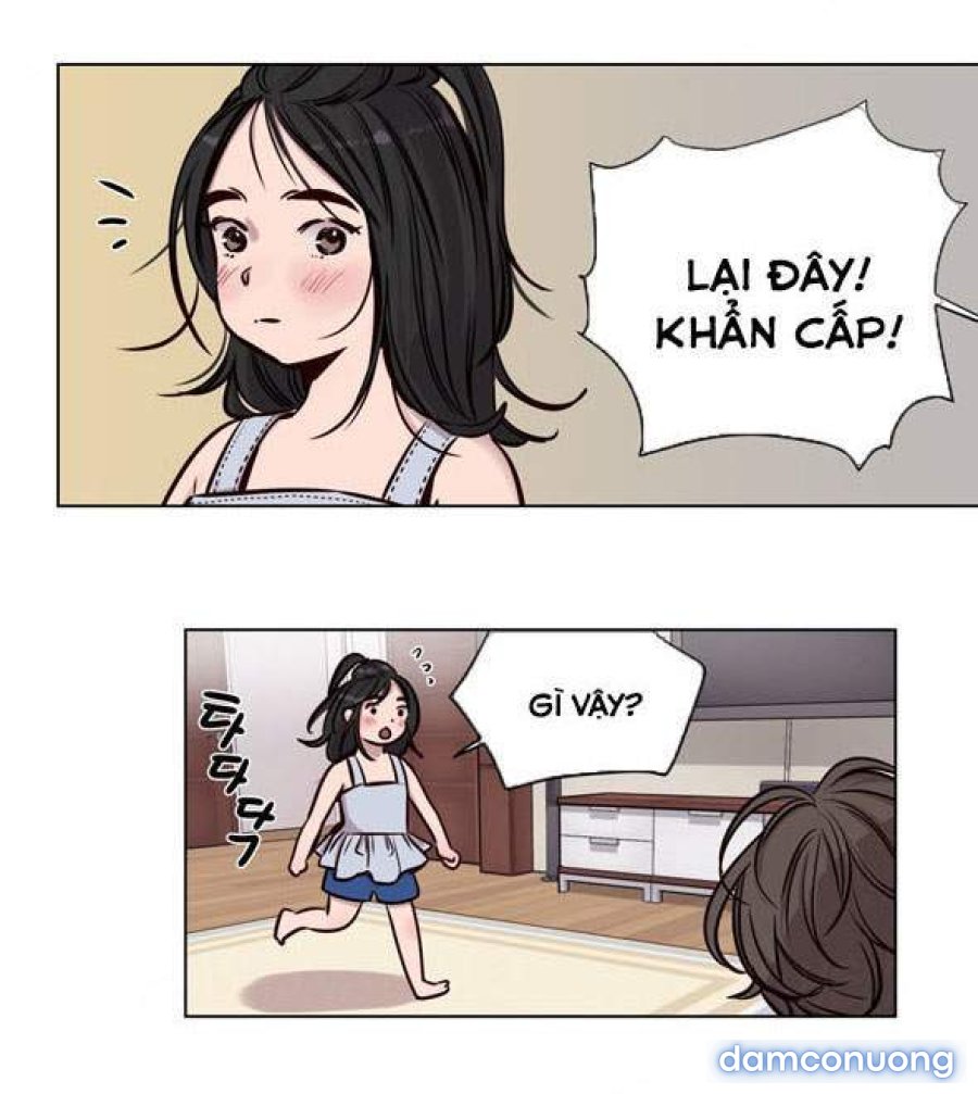 Hội Đàn Ông Phục Thù 