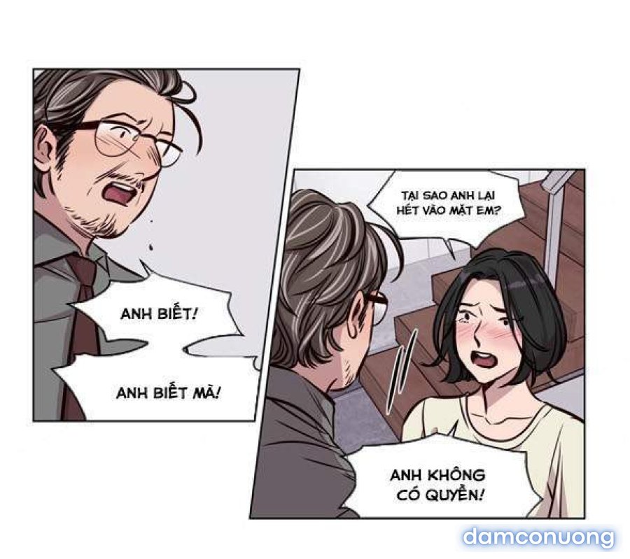 Hội Đàn Ông Phục Thù 