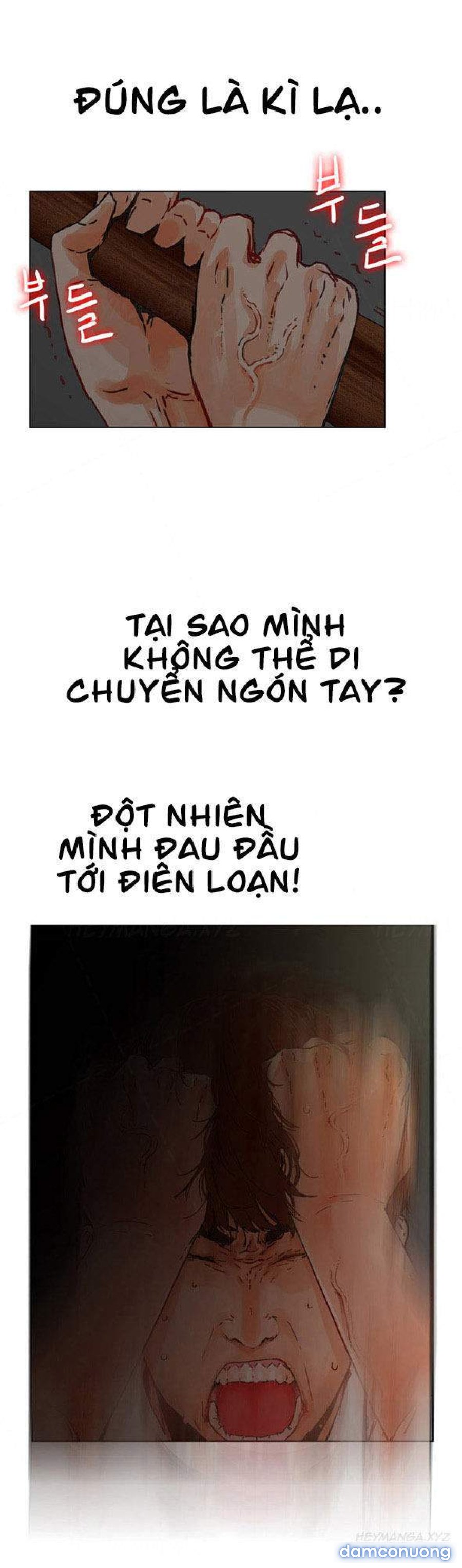 ANH TA, TÔI, CÔ ẤY 