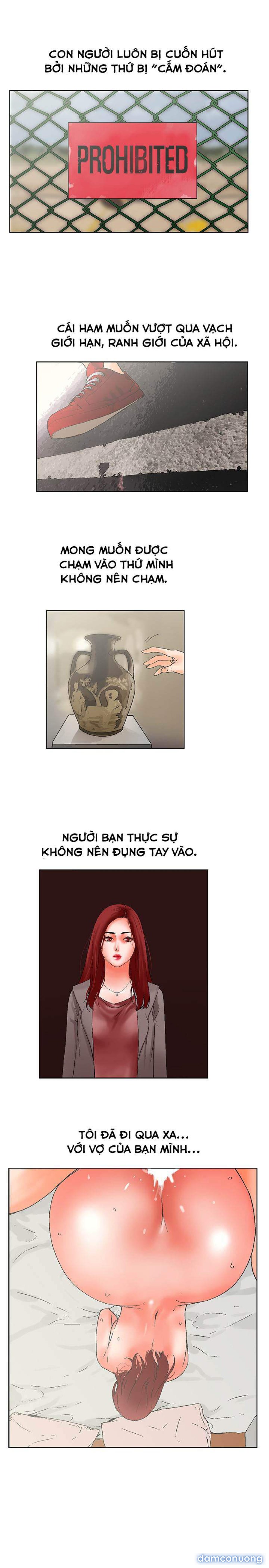 ANH TA, TÔI, CÔ ẤY 