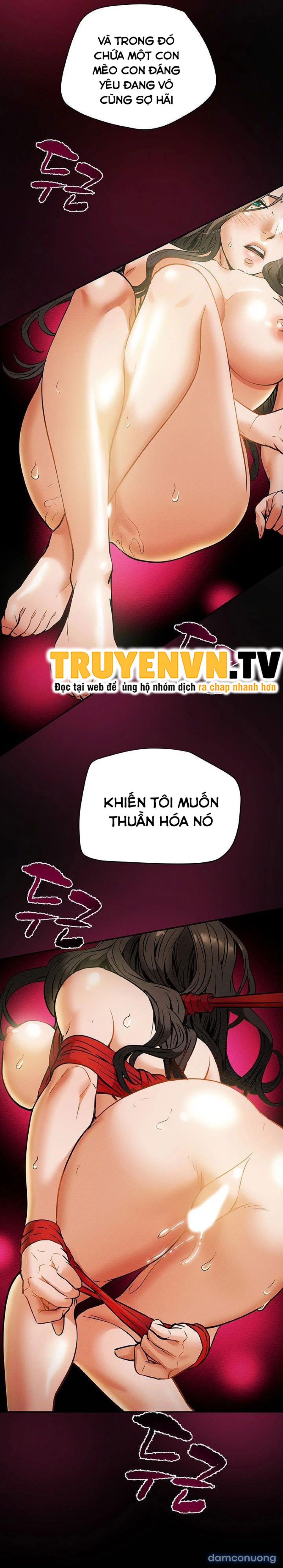 Âm Mưu Dục Vọng 