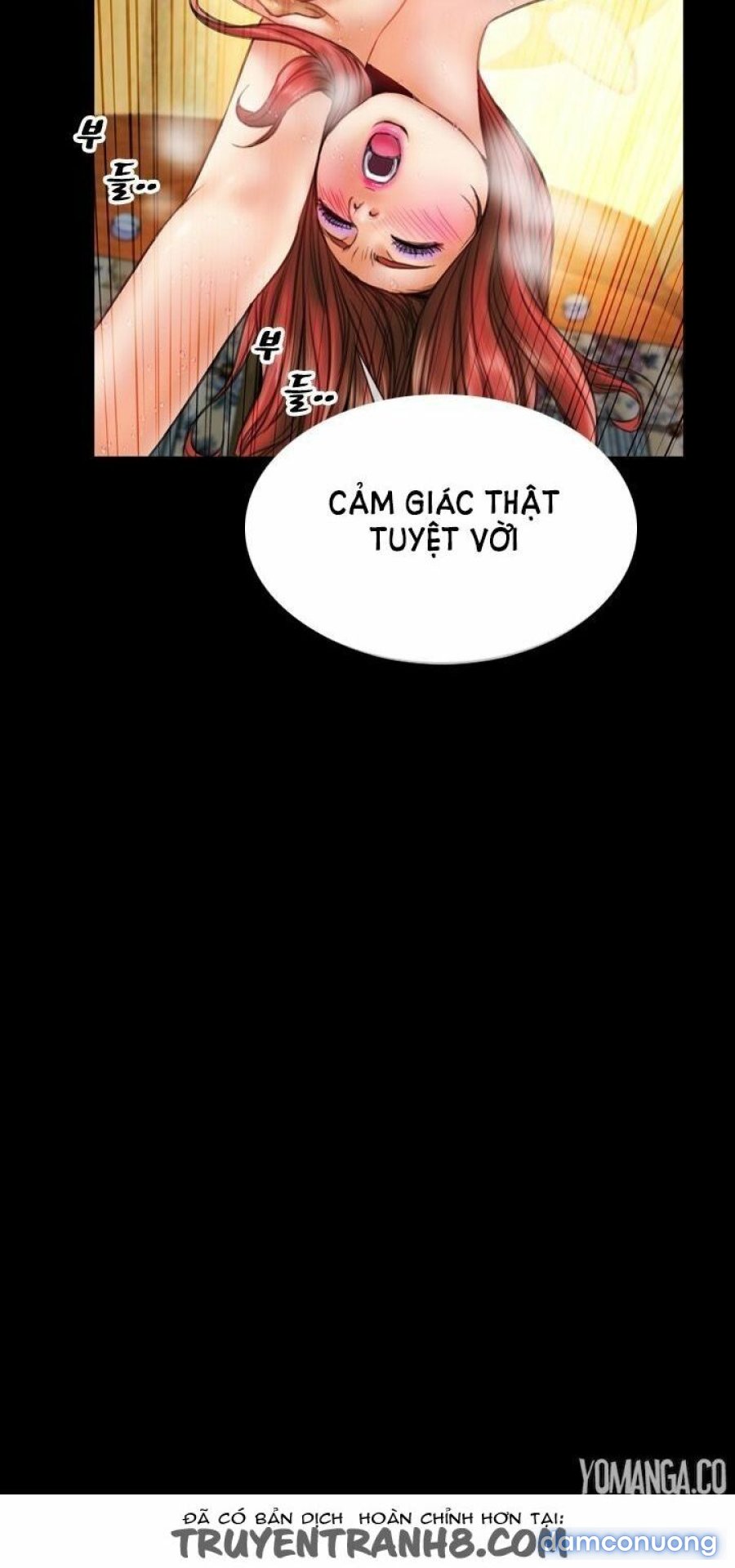 NHỮNG CÔ VỢ CỦA TÔI 