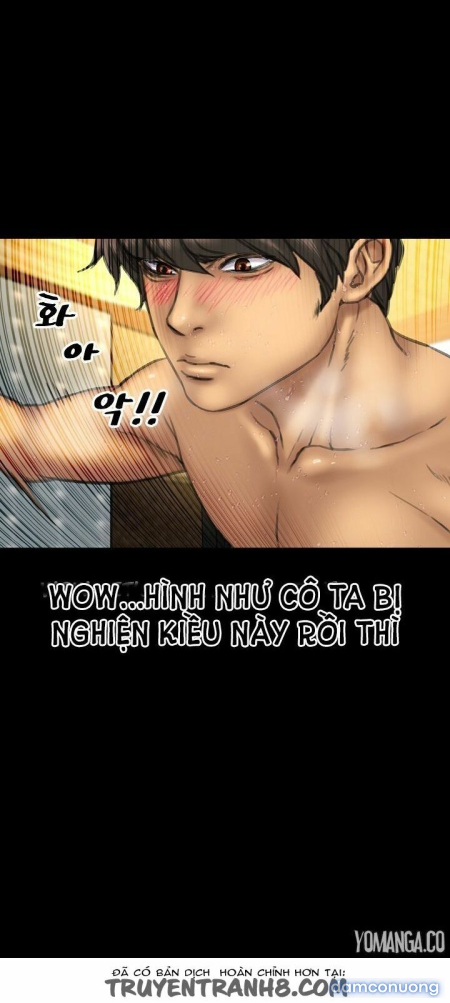 NHỮNG CÔ VỢ CỦA TÔI 