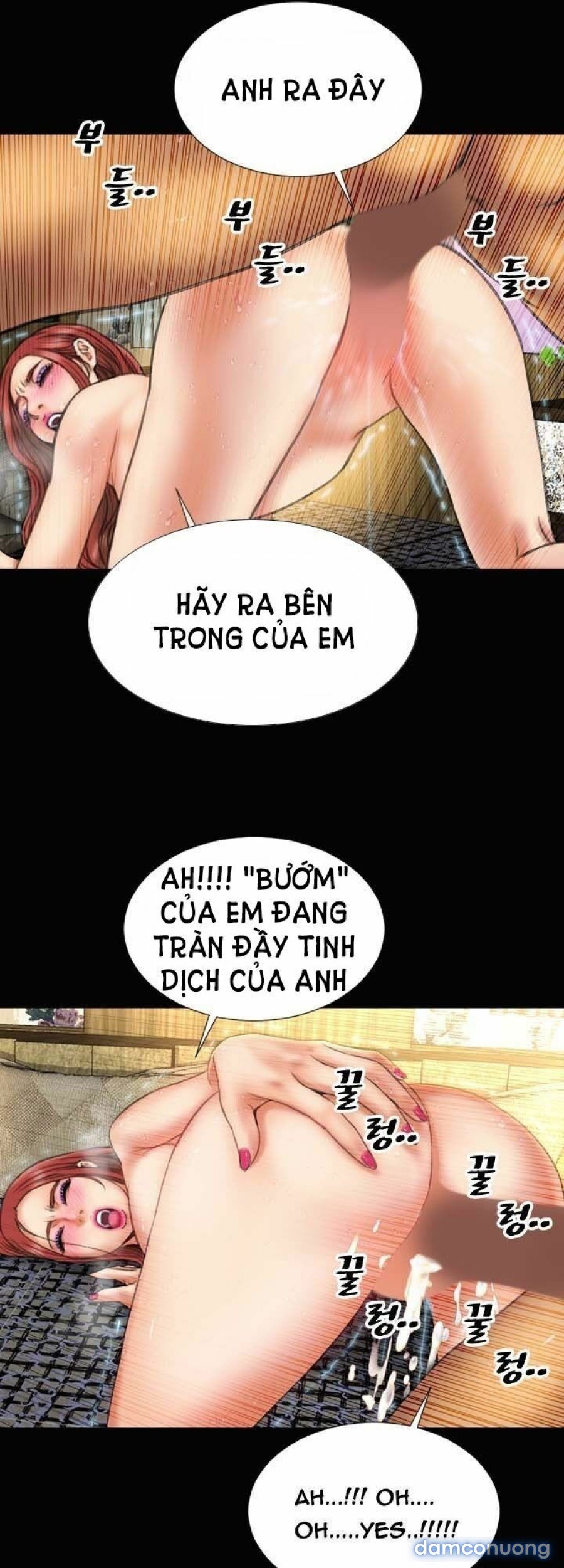 NHỮNG CÔ VỢ CỦA TÔI 