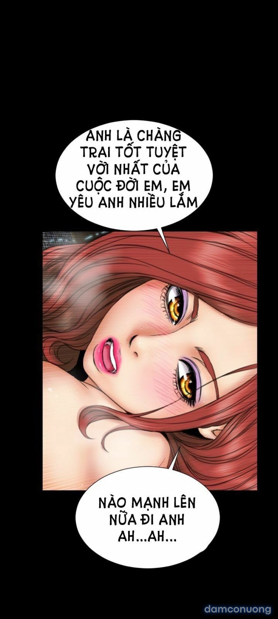 NHỮNG CÔ VỢ CỦA TÔI 