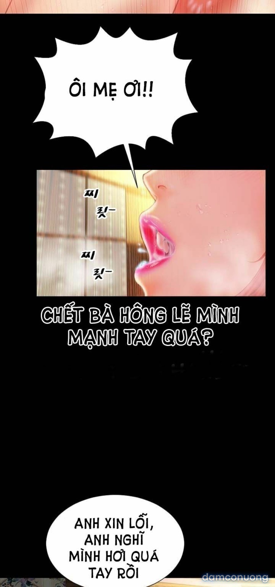 NHỮNG CÔ VỢ CỦA TÔI 