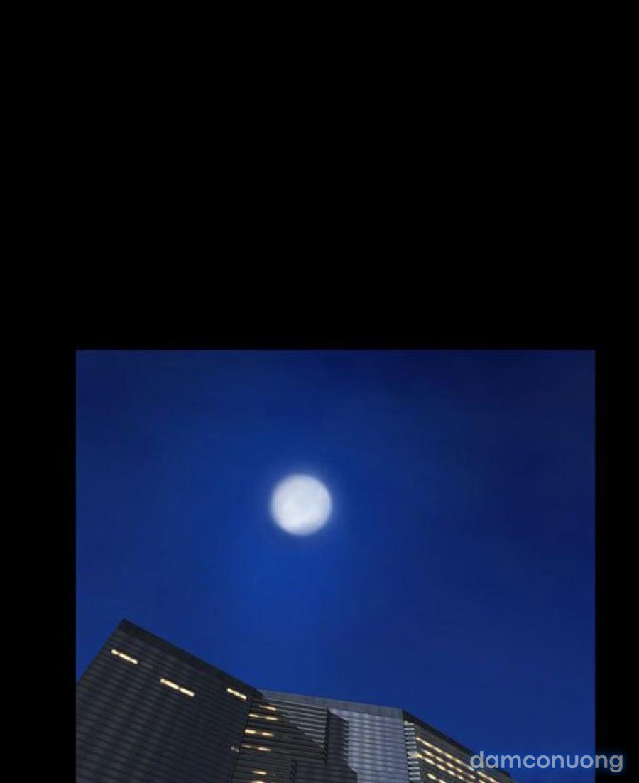 NHỮNG CÔ VỢ CỦA TÔI 