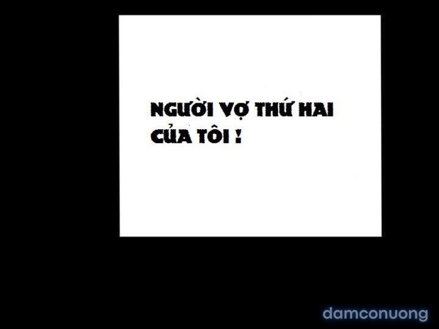 NHỮNG CÔ VỢ CỦA TÔI 