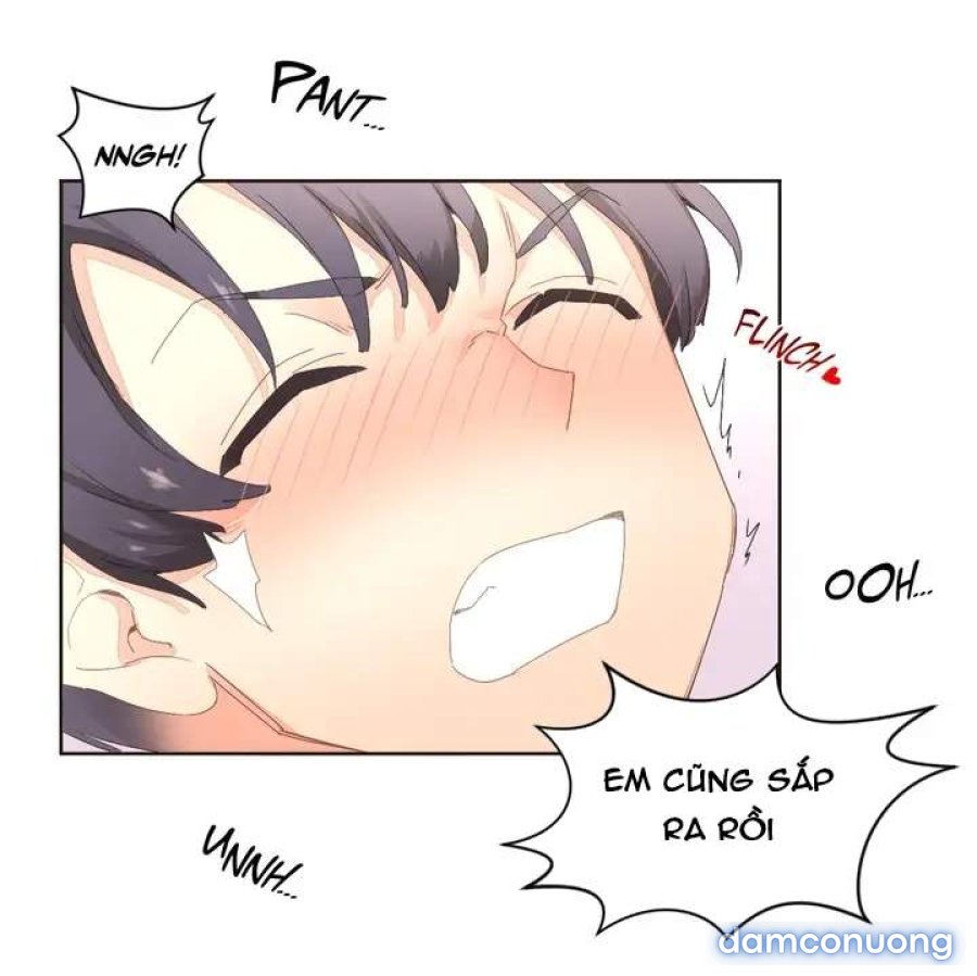 Chất Kích Dục Thần Thánh 