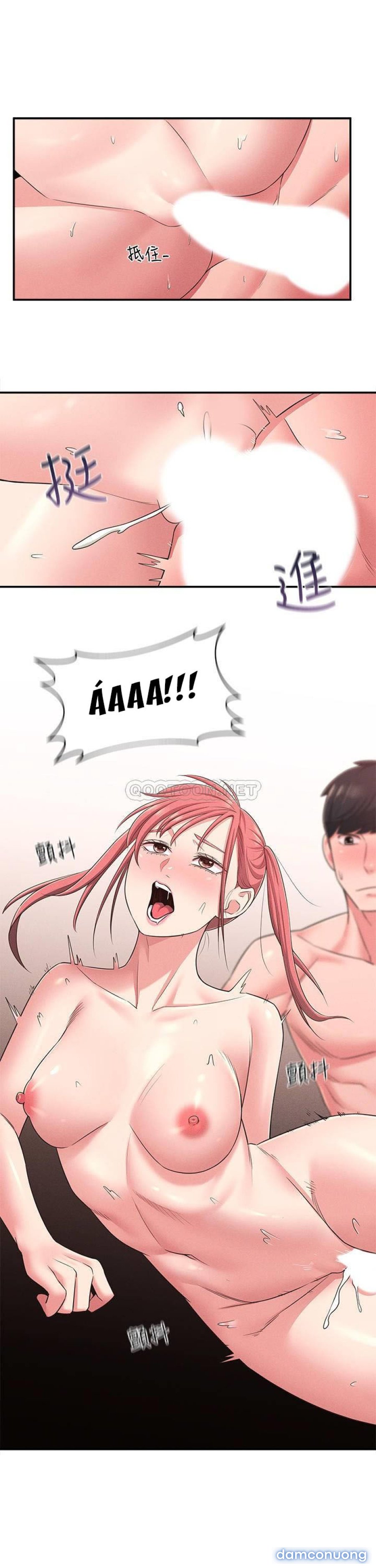 A Knowing Sister 