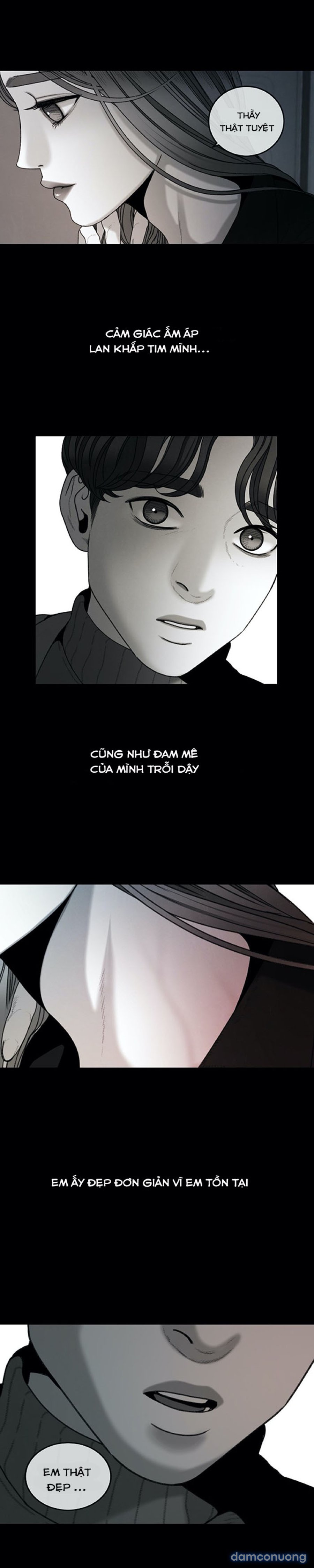 Vẻ Đẹp Thu Hút Kẻ Săn Mồi 