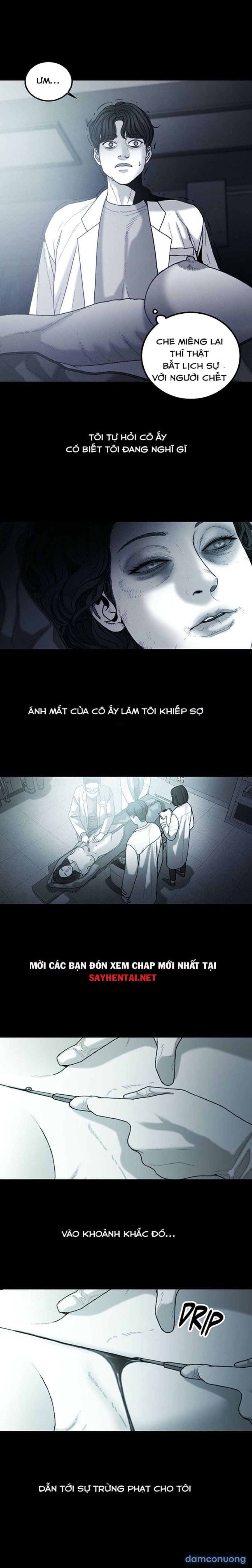 Vẻ Đẹp Thu Hút Kẻ Săn Mồi 